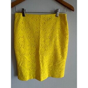 Ann Taylor Pencil Skirt 2P